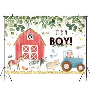 It's A boy 7x5 backdrop